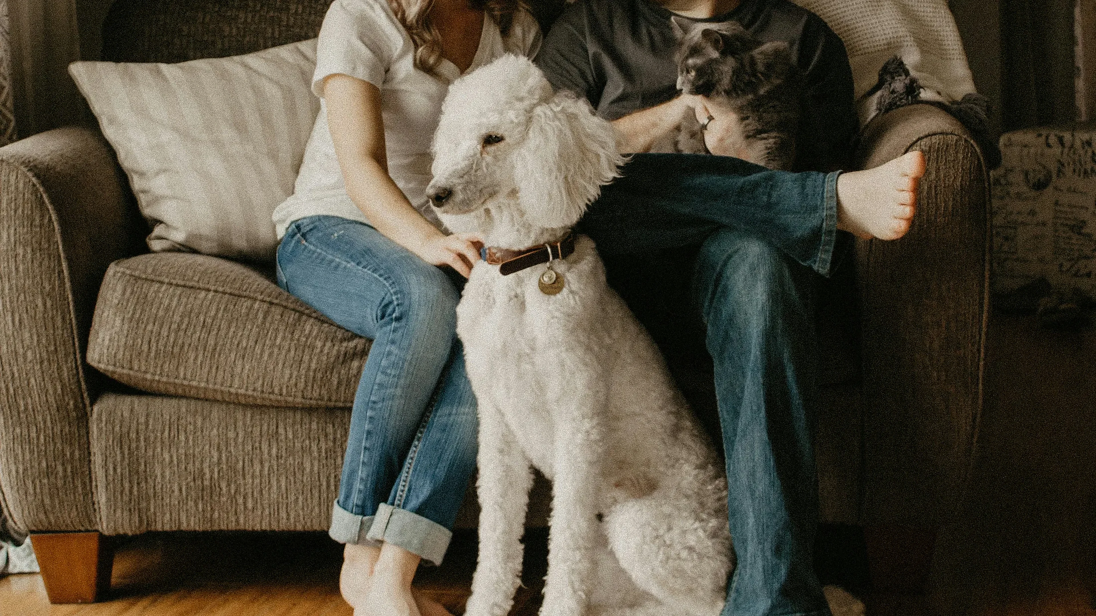 Familia junto a sus mascotas