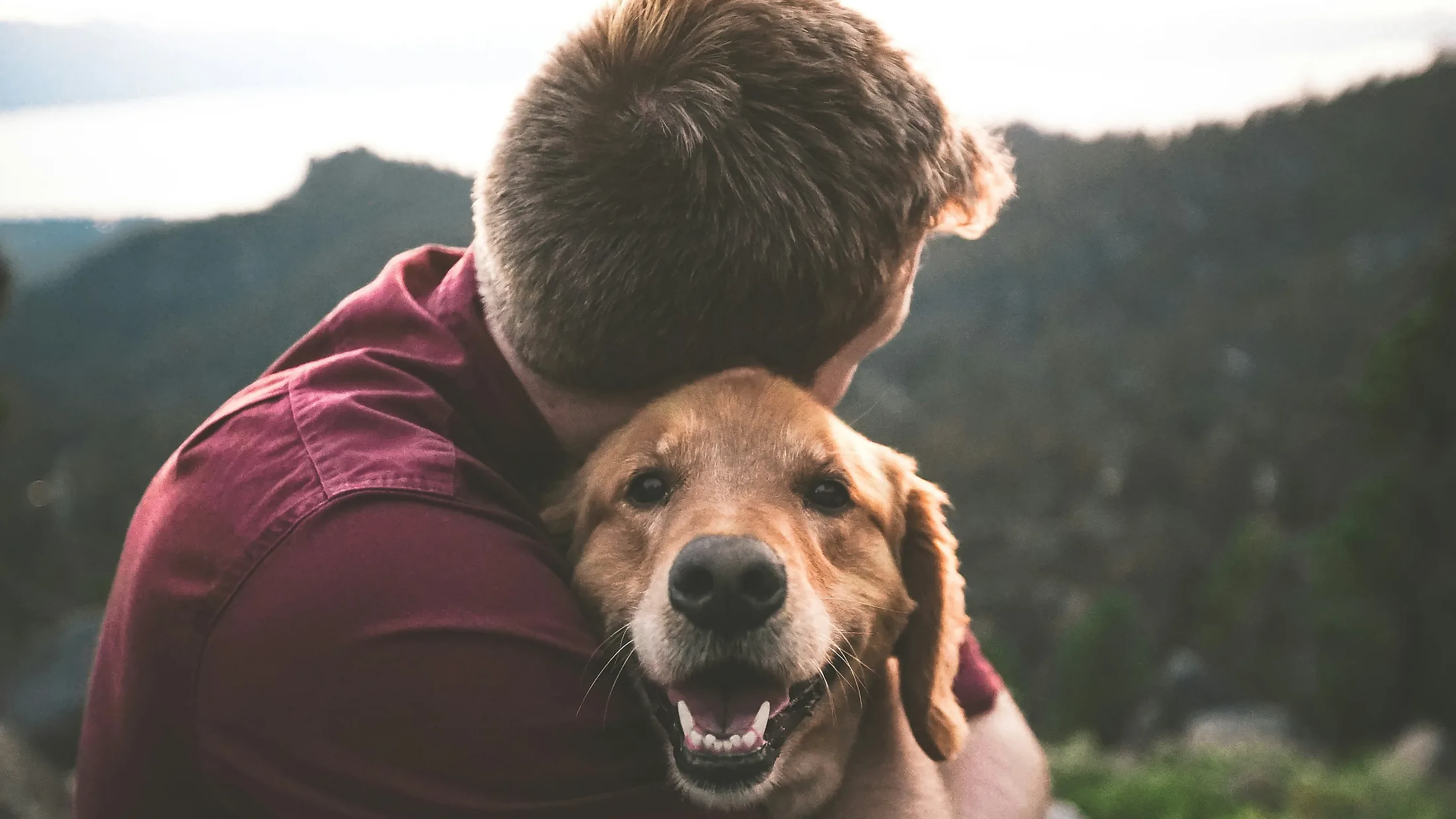 Persona abrazando a su perro